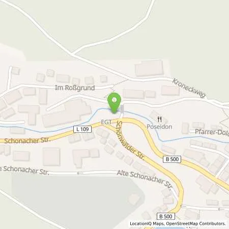 Standortübersicht der Tankstelle EGT Energie GmbH in 78098 Triberg