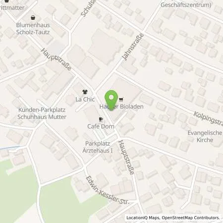 Standortübersicht der Tankstelle Stadtwerke Waldshut-Tiengen GmbH in 79761 Waldshut-Tiengen