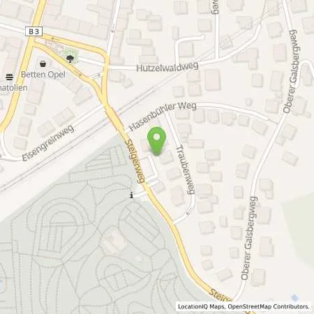 Standortübersicht der Tankstelle Stadtwerke Heidelberg Energie GmbH in 69115 Heidelberg