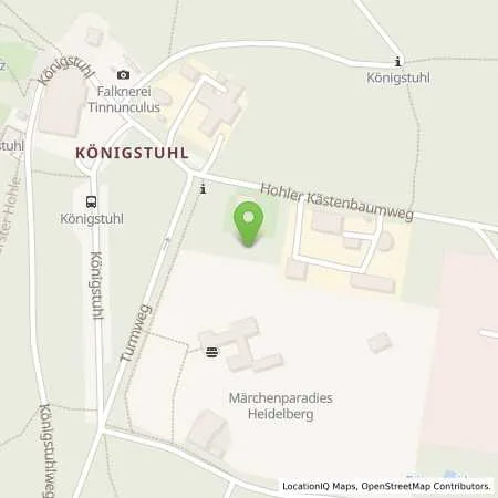 Standortübersicht der Tankstelle Stadtwerke Heidelberg Energie GmbH in 69117 Heidelberg