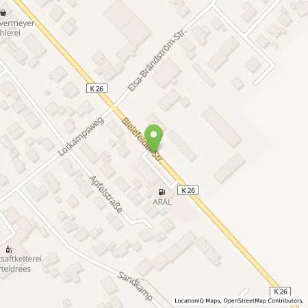 Standortübersicht der Tankstelle Aral Station in 33790 Halle