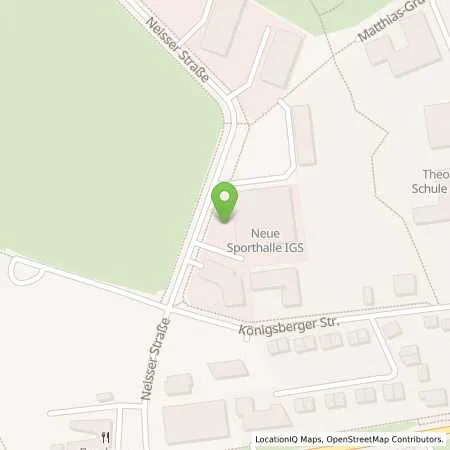 Standortübersicht der Tankstelle Erdgastankstelle in 55218 Ingelheim